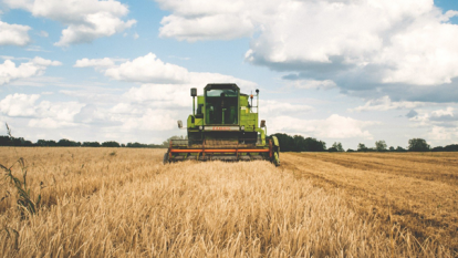 Landwirtschaft