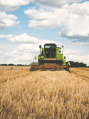 Landwirtschaft