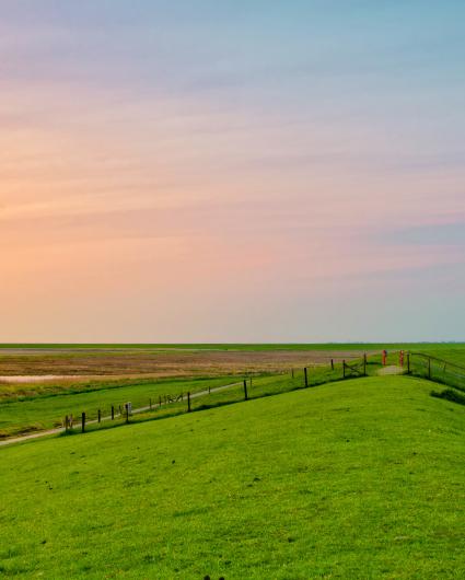 Startseite_Header